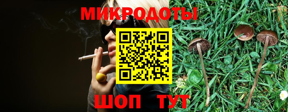 Псилоцибиновые грибы мицелий Ефремов
