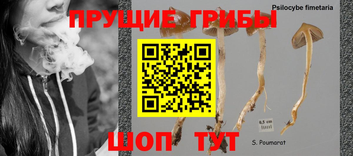 закладка  Вход с VPN  Ефремов  Галлюциногенные грибы Magic Shrooms 